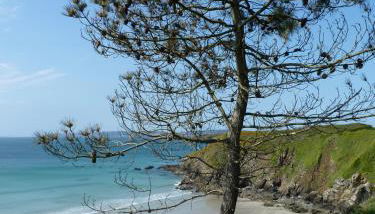 Ty Kozh De L'aber - Photo 3