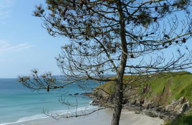 Ty Kozh De L'aber - Photo 3