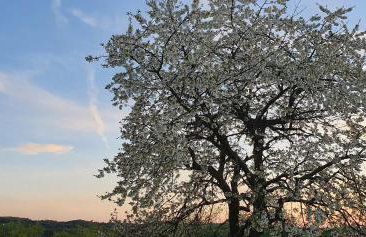 Skalny Widok - Foto 59