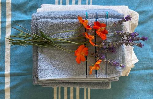 Casa Sisù-Appartamento immerso negli ulivi - Foto 23