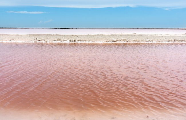 Paradiesische Tour: Las Coloradas Pink Lake und Rio Lagartos inklusive Mittagessen. - Foto 12