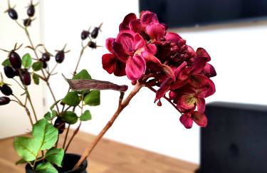 Flair-Apartments 'Apartment nähe Schlosspark', 300 m Bahnhof, Innenstadt Bad Salzuflen Stadtteil Schötmar, für Urlaub oder Geschäftsreise, separater Eingang, 24 Std Check-in,WLAN, Streaming-Fernseher, Küche, Regendusche, Doppelbett, 2 Schlafsofa - Foto 19