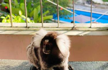 Flat HOTEL Pedra do Rodeadouro 1 andar - Foto 42