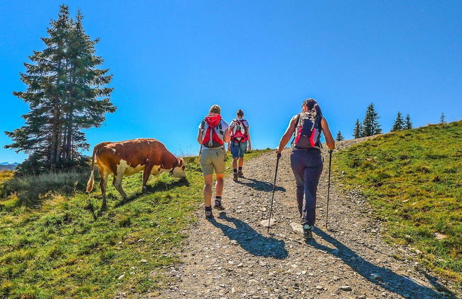 Apartment in Brixental Near Hiking Trails - Foto 25