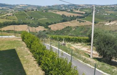 Palme e vigne - Foto 16