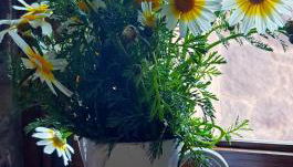 El Rinconcito de Tejeda - Photo 5