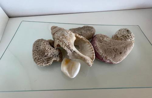 Mar de fondo en Pedregalejo - Photo 30