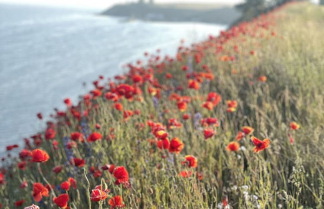 Kåseberga Hideout - Foto 56