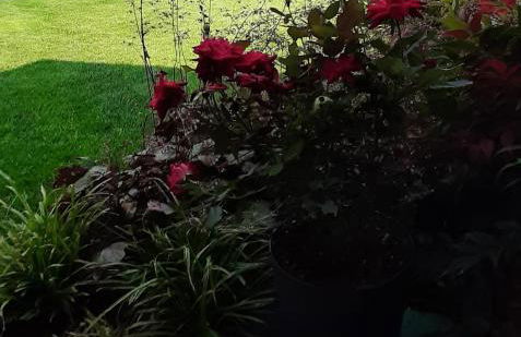 Casa vacanza La Fontana - Foto 7