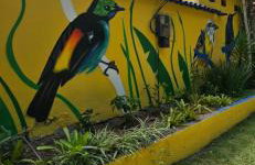 Casa dos Franceses Ilha Grande - Foto 56