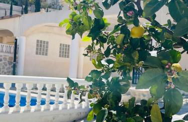 Casa Galesa - Photo 6