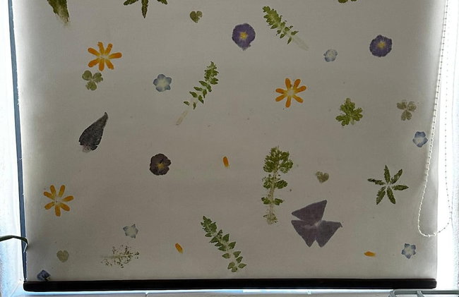 Little Linney - Sleeps 2 - Garden - Wifi - Parking - Photo 44