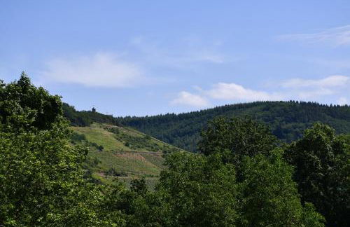 Schorn³ Appartements - Foto 18