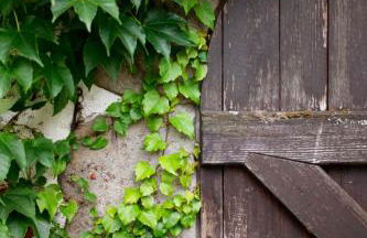 Obere Mühle - Scheunenwohnung mitten im Grünen - Foto 16