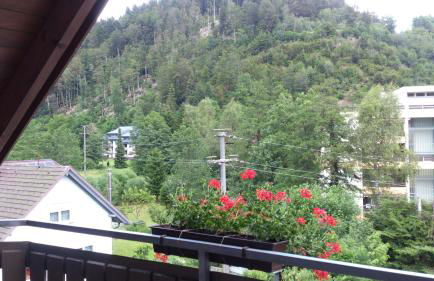 Ferienwohnungen Kupferkanne - Foto 30