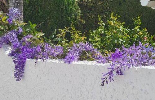 Romantic white Villa -private pool - Foto 53