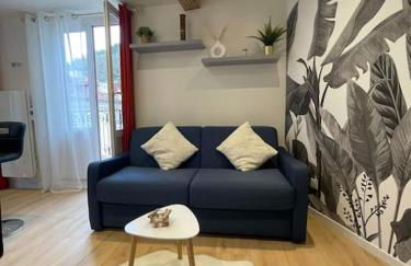 Luxueux T2 lumineux unique Saint Claude - Foto 8