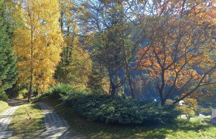 Domek w Jałowcach - Foto 19