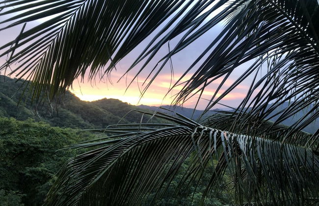 Playa Potrero 4 BR Home Large Saltwater Pool Spectacular Views - Villa Oasis - Foto 19