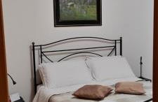 Little Rose garden - Foto 39