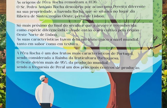 Cozy Vacation Rental in Peaceful Peral, Portugal - Photo 17