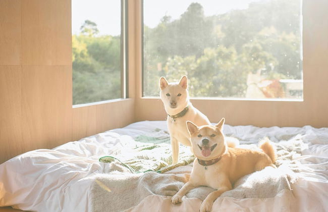 YADOKARI VILLAGE KITAKARUIZAWA - Foto 13