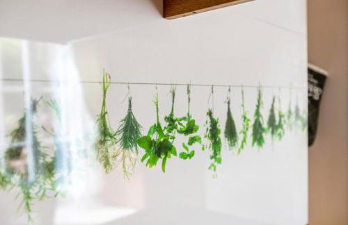 Atlanta Pur - Foto 57