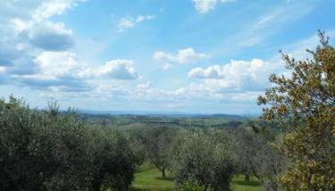 Le Maribelle - Foto 2