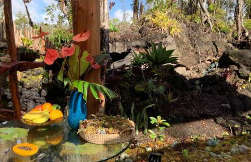 Exotic Garden cottage at amazing volcano fissure - Foto 65