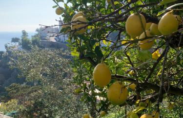 Villa San Vito Amalfi Coast A timeless charm - Foto 12