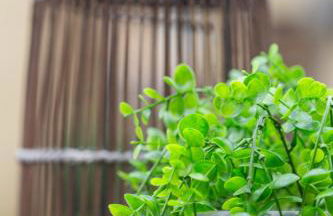 THE PENDLETON - Walkable - Arcade Loft - Modern- Light & Bright - Photo 7