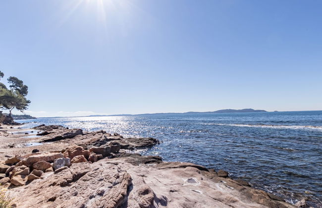 1 bedroom Apartment in Carqueiranne with garden - Photo 19