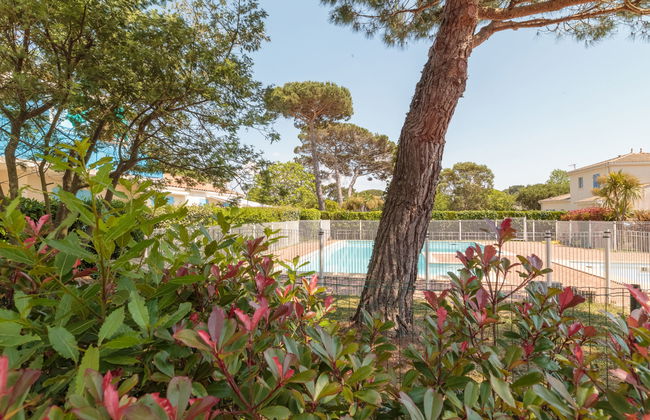 Les Palatines - Foto 25