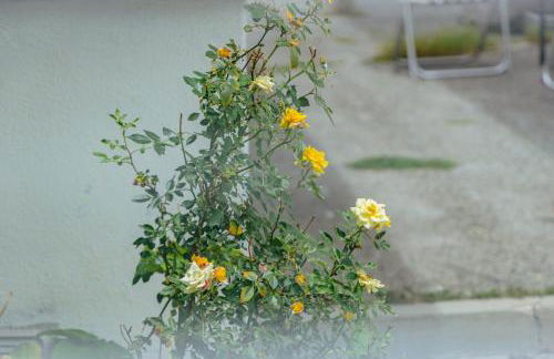 Bright & Cozy Getaway-10min to Downtown LA - Foto 63