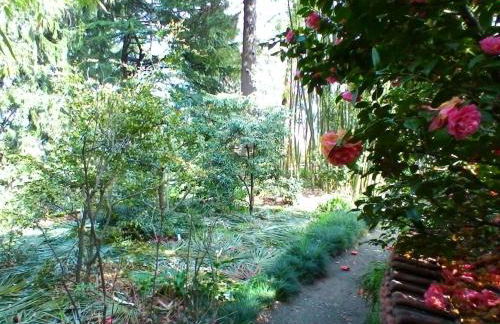 La Camelia d'Oro - Foto 36