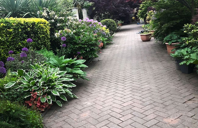 Cabin set in a Beautiful Romantic Tropical Garden - Foto 22