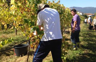 Casa de Ladreda - Foto 37