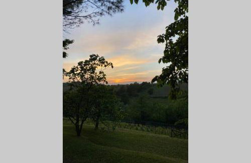 Casa intera tra le colline e le vigne del Dolcetto - Foto 47