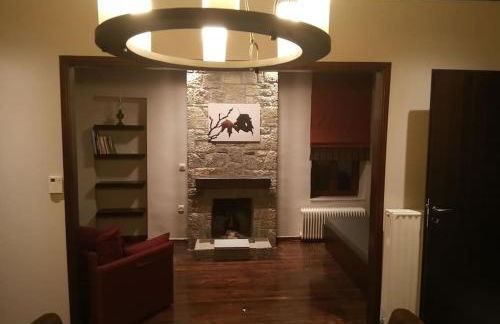 Τείχιο Πατρικό - Tihio Patriko - Πέτρινη κατοικία - Foto 31