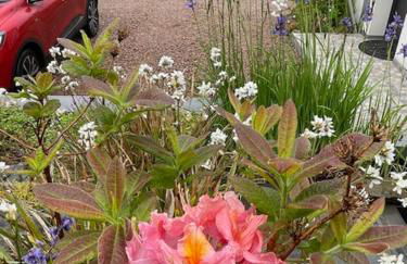 The Moorings - Foto 55