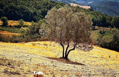 La Casa di Orazio - Foto 35