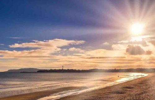 Beach Walk - Photo 20