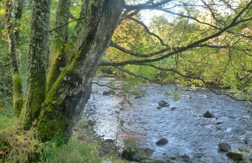 The Bothy, Nethy Bridge - Foto 17