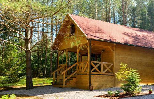 Mazury - Giżycko - Harsz - Domki - ApartMazury Osada - Foto 16