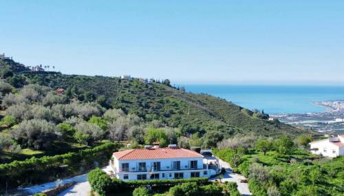 Sobremesa Boutique - Foto 1