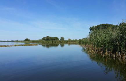 Hausboot-schwimmendes-Ferienhaus-im-Havelbogen-Haus-auf-dem-Wasser - Foto 11