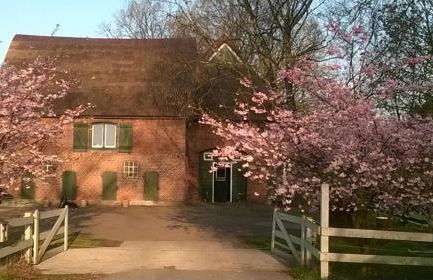 Zum roten Gaul - Foto 1