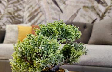 Elpis' cozy & luxury apartment - Foto 12