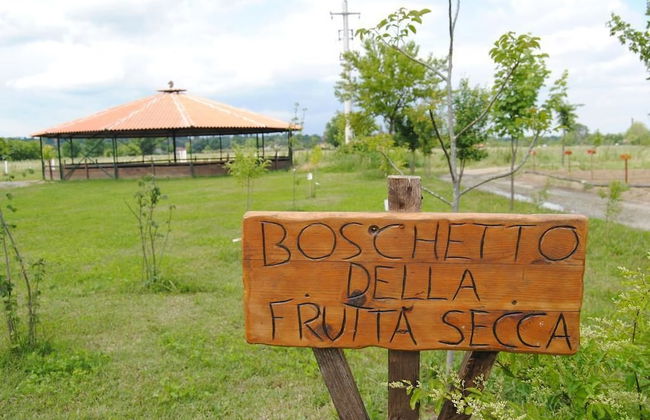 Cascina Bosco Gerolo - Photo 28