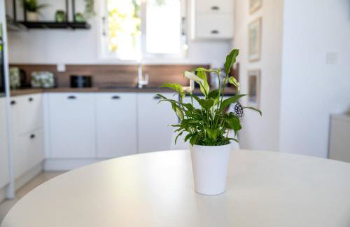 Beachfront Villa Alexandra - Foto 14